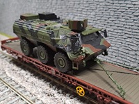 Fuchs2