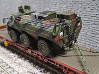 Fuchs2