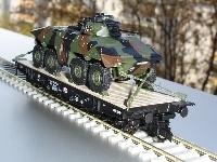 Luchs