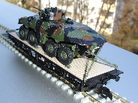 Luchs